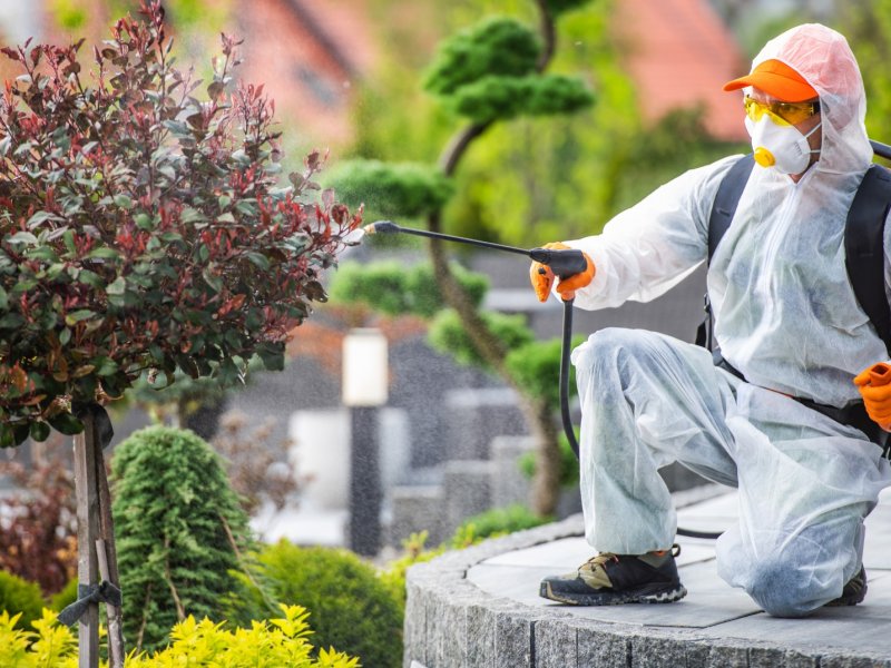 Şırnak Haşere İlaçlama